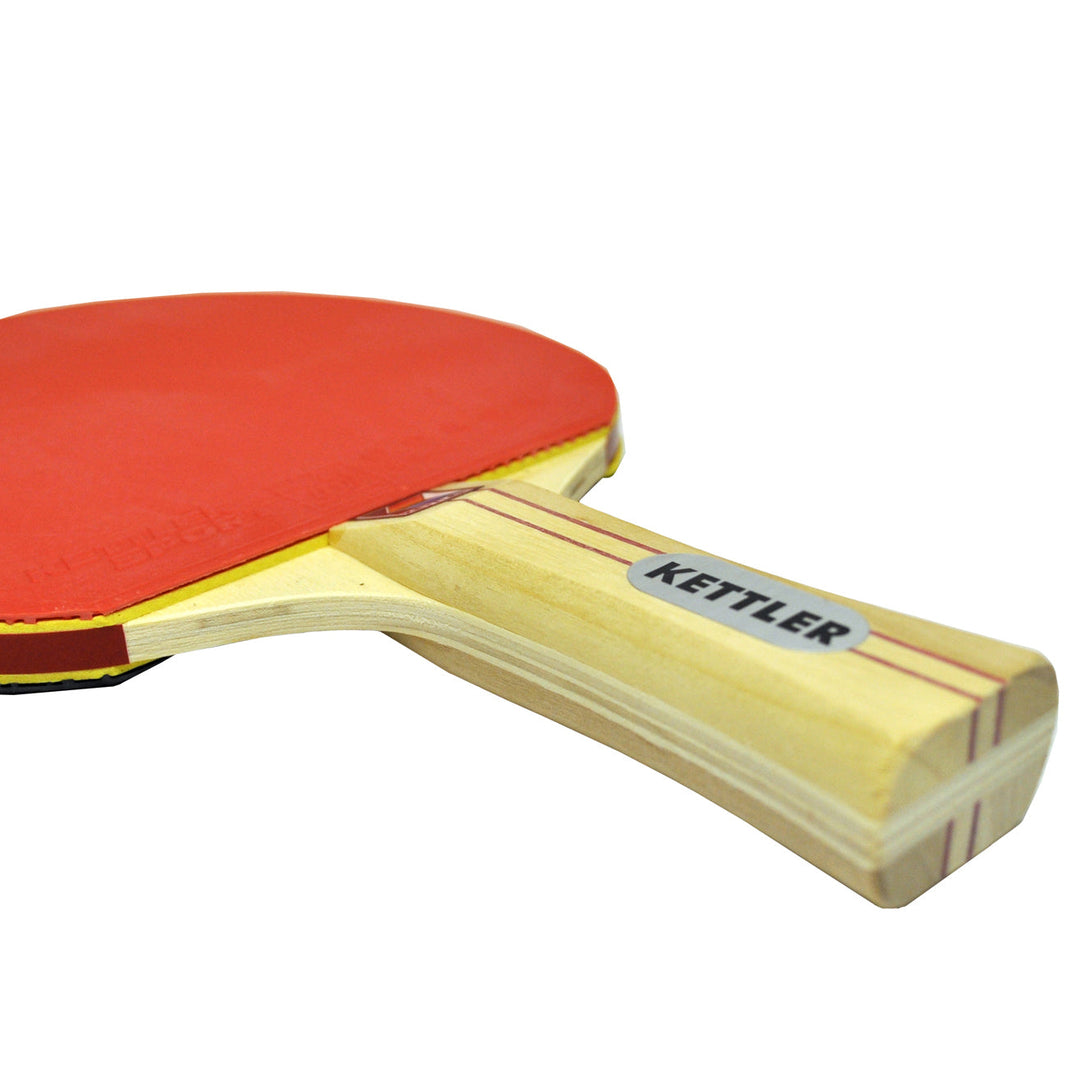 Table Tennis Accessory 4-Player Advantage Table Tennis Accessory Set – KETTLER Retail Showroom